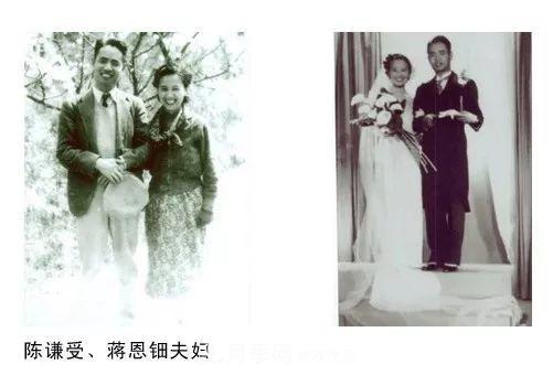 月季夫人蔣恩鈿，是她把月季花種到了人民大會(huì)堂(圖3)
