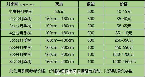 南陽(yáng)樹(shù)狀月季價(jià)格差別這么大，樹(shù)狀月季的價(jià)格受什么因素影響？(圖2)
