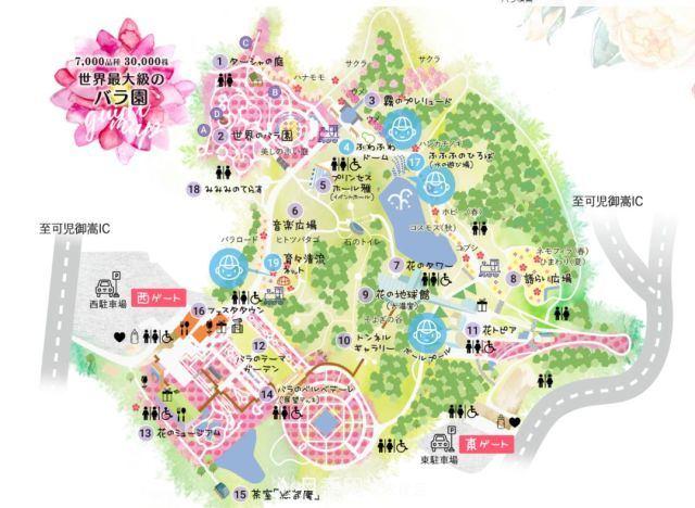 走進(jìn)世界***大月季園，近7000個(gè)品種，30000棵月季……(圖6)