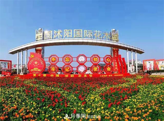 這些中國(guó)著名苗木產(chǎn)地你知道幾個(gè)？值得收藏！(圖2)