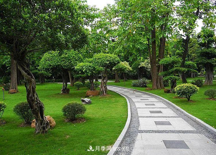 破解苗木行業(yè)需求的發(fā)展變化，弄懂才能賺錢(qián)?！(圖1)