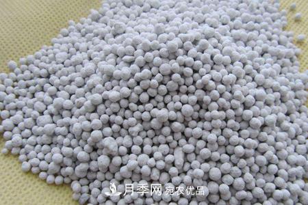 養(yǎng)護(hù)月季花施肥施什么肥料？(圖1)