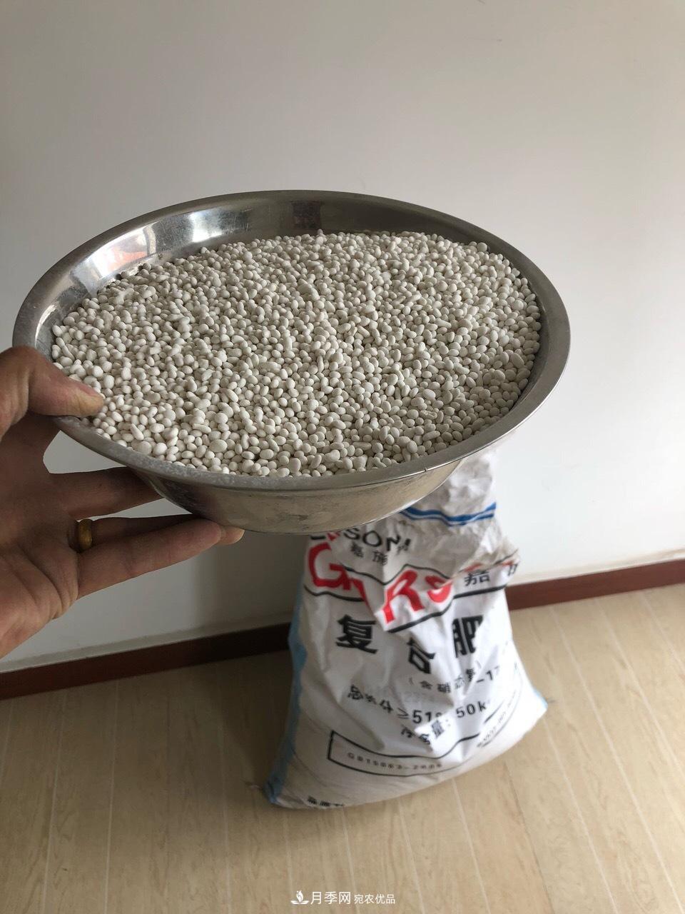 養(yǎng)月季花必備“3種肥”，每月花盆撒一點(diǎn)(圖2)