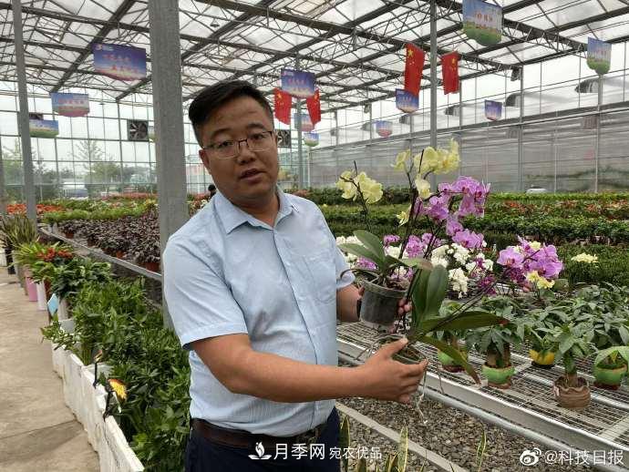 甘肅山里的鮮花基地，讓農(nóng)民顧家掙錢兩不誤(圖1)