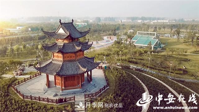 探訪第十屆中國(guó)月季展覽會(huì) 2000多種月季花月底綻放(圖3)