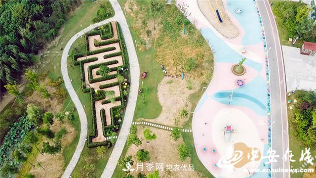 探訪第十屆中國(guó)月季展覽會(huì) 2000多種月季花月底綻放(圖5)