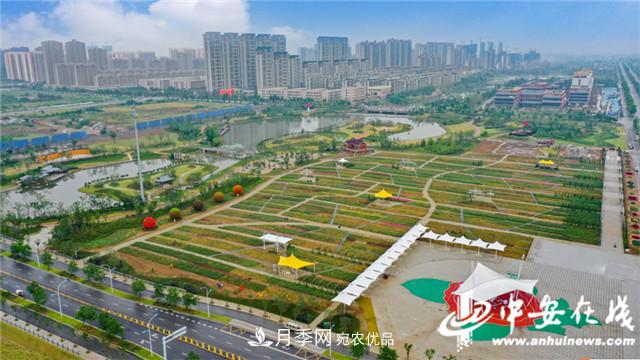 探訪第十屆中國(guó)月季展覽會(huì) 2000多種月季花月底綻放(圖2)
