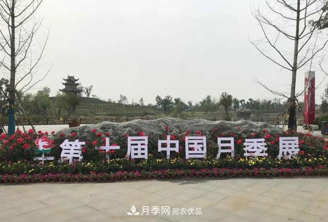 第十屆中國月季展覽會(huì)，南陽園和鄭州園亮相(圖1)