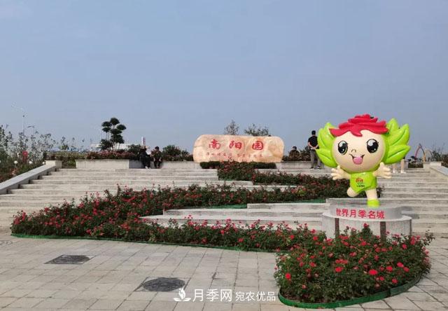 第十屆中國月季展覽會(huì)，南陽園和鄭州園亮相(圖2)