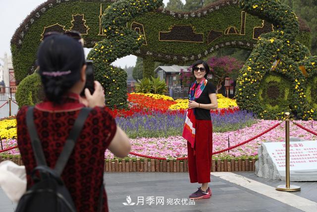 北京天壇公園國慶花壇亮相，萬株月季節(jié)日迎客(圖1)