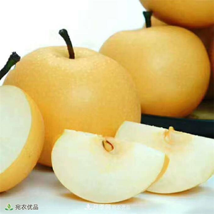 南水北調有機寶盈蜜梨，南陽淅川特產(chǎn)水果批發(fā)(圖4)