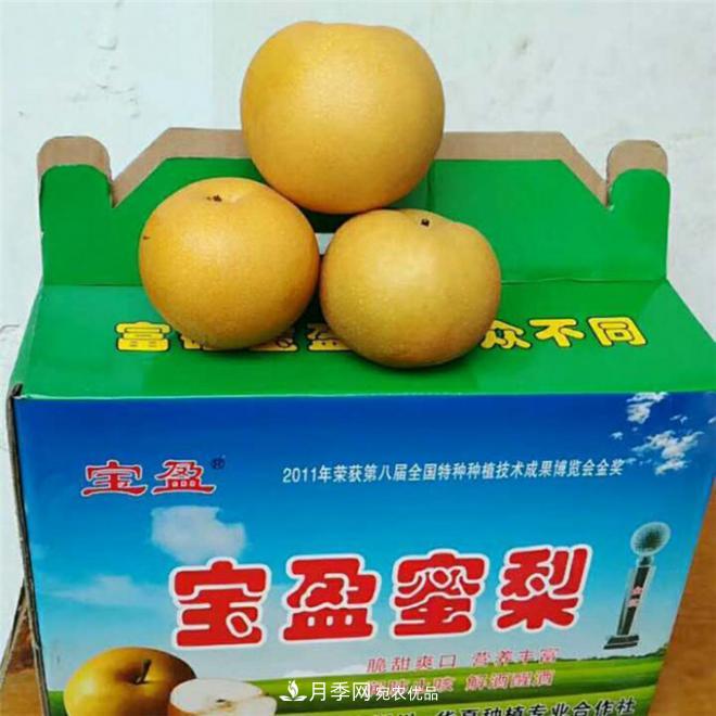 南水北調有機寶盈蜜梨，南陽淅川特產(chǎn)水果批發(fā)(圖3)