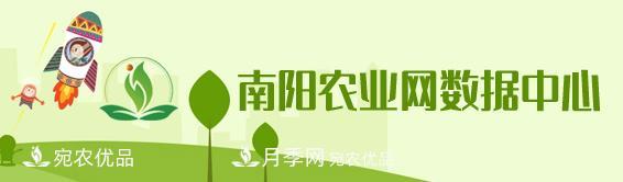 南陽(yáng)農(nóng)業(yè)數(shù)據(jù)中心(圖1)