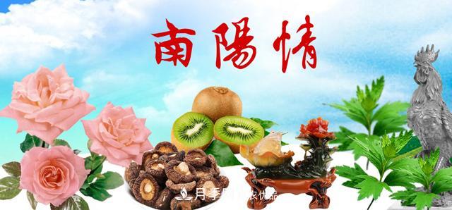 南陽名優(yōu)特農(nóng)產(chǎn)品，中國之鄉(xiāng)譽(yù)響中國(圖1)