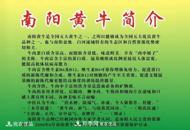 南陽黃牛，中國地理標志保護農(nóng)產(chǎn)品(圖3)