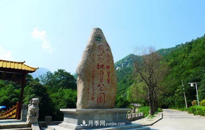 河南五個綠色“海洋”，在20度的森林中呼吸，讓你流連忘返(圖1)