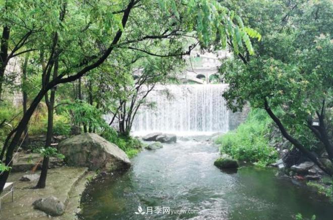 河南五個綠色“海洋”，在20度的森林中呼吸，讓你流連忘返(圖4)