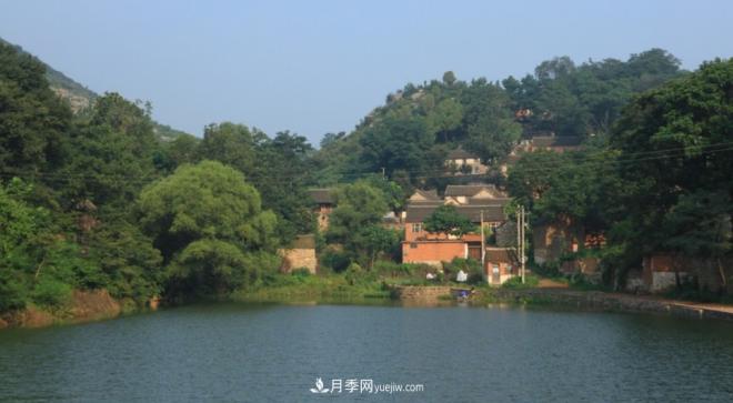 河南五個綠色“海洋”，在20度的森林中呼吸，讓你流連忘返(圖7)