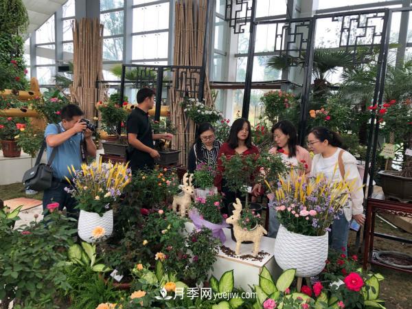 第十屆中國月季展覽會(huì)南陽市榮獲獎(jiǎng)項(xiàng)40余項(xiàng)(圖1)