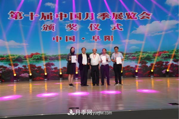 第十屆中國月季展覽會(huì)南陽市榮獲獎(jiǎng)項(xiàng)40余項(xiàng)(圖3)
