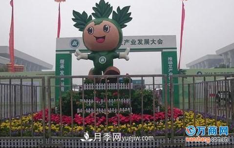 2018第二屆中國艾產業(yè)發(fā)展大會在南陽成功舉辦(圖3)