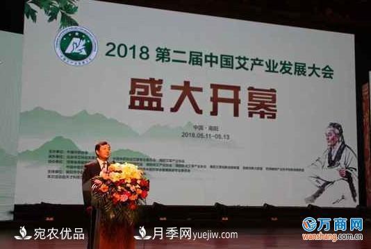 2018第二屆中國艾產業(yè)發(fā)展大會在南陽成功舉辦(圖1)