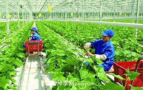 南陽(yáng)有機(jī)農(nóng)業(yè)全國(guó)**是怎樣煉成的？南水北調(diào)水源地生態(tài)農(nóng)業(yè)見(jiàn)聞(圖1)