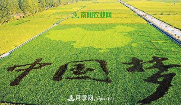 南陽(yáng)2019年農(nóng)業(yè)十佳產(chǎn)業(yè)基地和扶貧電商都有誰(shuí)？(圖1)