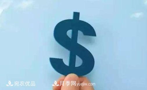 創(chuàng)業(yè)選擇，南陽十大暴利賺錢行業(yè)是指哪些？(圖1)
