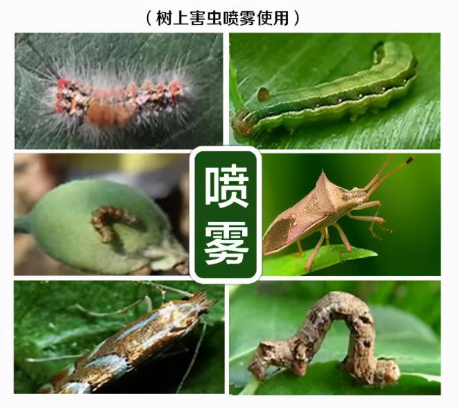 8種花木常用農(nóng)藥介紹，價格便宜效果很好(圖3)