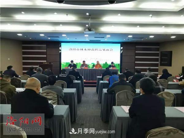 2.2億株！洛陽市可供今冬明春國土綠化使用的苗木種類齊全(圖1)