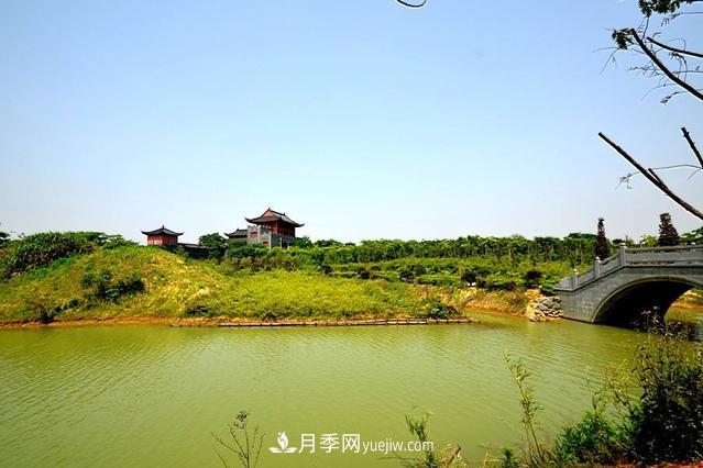 江西南昌天香園走紅，有3萬余的盆景，是南昌的“花卉之源”(圖2)