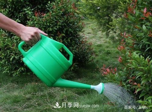 花卉栽培的六大基本工具，你準(zhǔn)備好了嗎？(圖2)