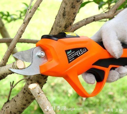 花卉栽培的六大基本工具，你準(zhǔn)備好了嗎？(圖4)