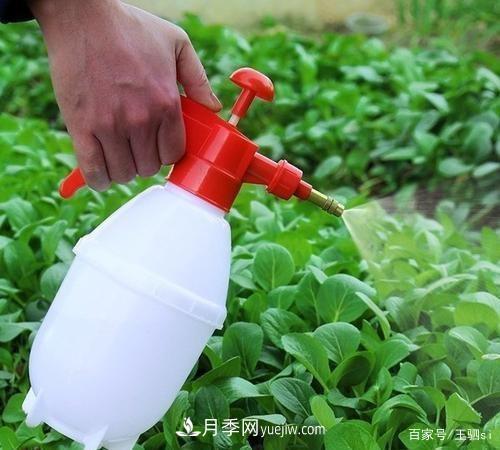 花卉栽培的六大基本工具，你準(zhǔn)備好了嗎？(圖3)