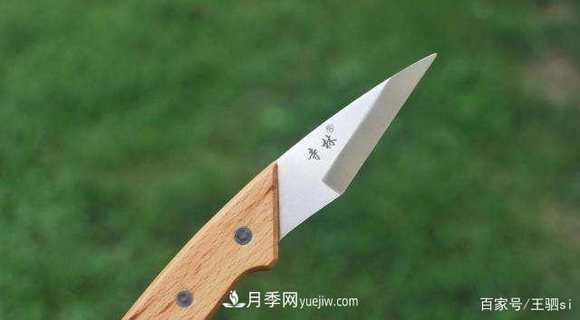 花卉栽培的六大基本工具，你準(zhǔn)備好了嗎？(圖6)