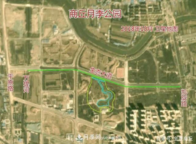 商丘的“市花”和“市樹”是什么，你能想到了(圖2)