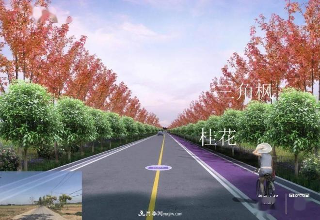 襄陽樊城區(qū)景觀“一號(hào)公路”下個(gè)月通車，顏值驚人！(圖5)