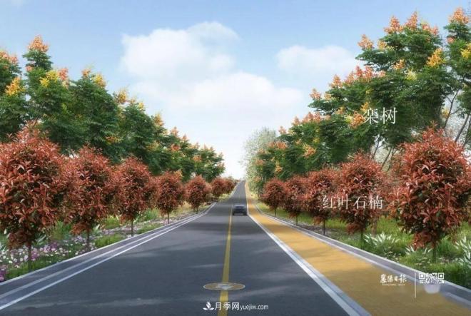 襄陽樊城區(qū)景觀“一號(hào)公路”下個(gè)月通車，顏值驚人！(圖6)