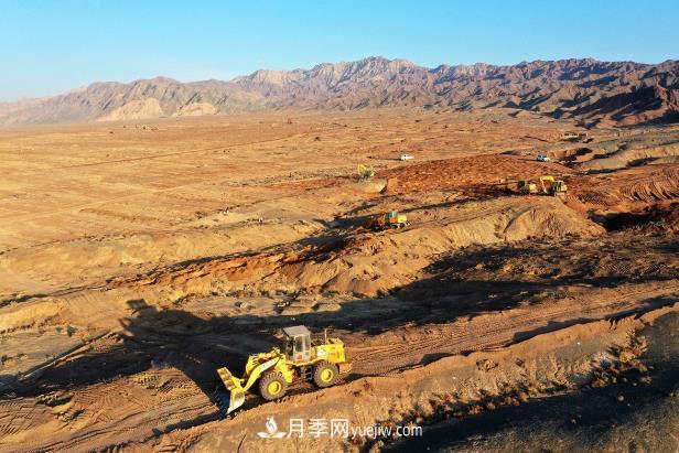 甘肅張掖：元寶楓國家儲(chǔ)備林建設(shè)項(xiàng)目加速推進(jìn)(圖1)