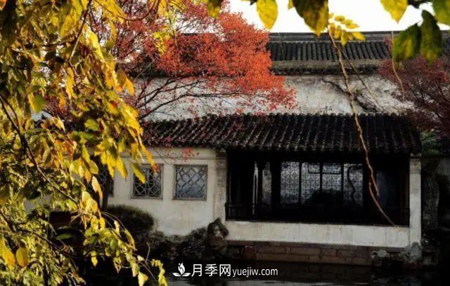 據(jù)說(shuō)中國(guó)人每到一個(gè)地方，都要去看看當(dāng)?shù)氐膱@林？(圖1)