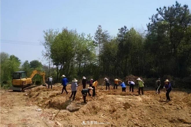 注意，2021年農(nóng)田5不準(zhǔn)：違規(guī)罰上萬，關(guān)系戶都沒用(圖2)