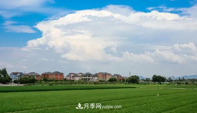 注意，2021年農(nóng)田5不準(zhǔn)：違規(guī)罰上萬，關(guān)系戶都沒用(圖1)