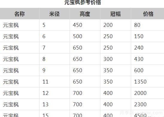 元寶楓的價(jià)格一路上漲，大規(guī)格優(yōu)質(zhì)苗一株能賣(mài)上萬(wàn)元(圖1)