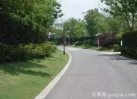 ***全常用草坪品種、優(yōu)點缺點和施工要點(圖16)