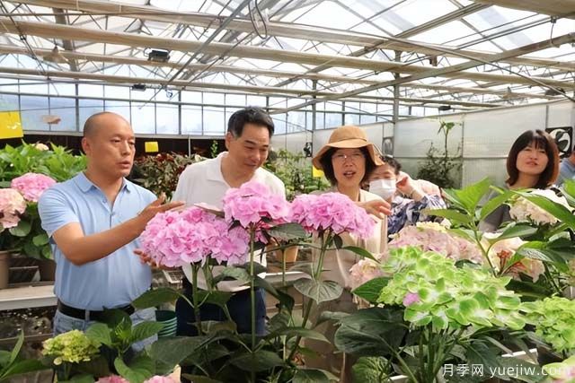 陜西省花卉產(chǎn)業(yè)創(chuàng)新發(fā)展論壇舉行，培育陜花地域品牌(圖1)