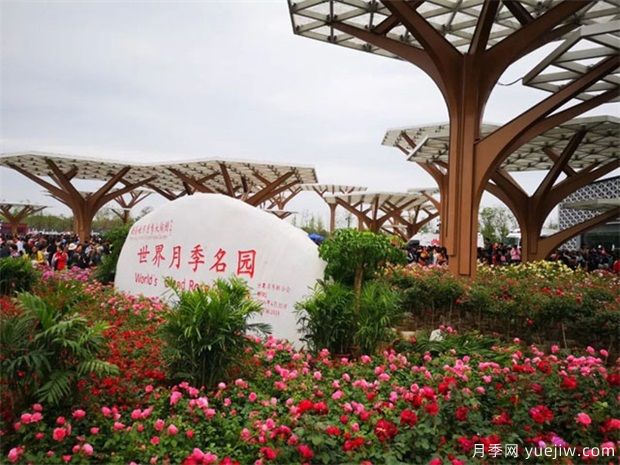 月季盛會，南陽將舉辦2023中國·南陽首屆世界月季博覽會(圖2)