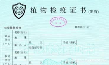 苗木三證一簽指的是什么？(圖1)
