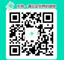形色app，精準辨別花卉識別植物(圖1)