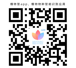 植物智app，植物物種智能識(shí)別應(yīng)用(圖1)